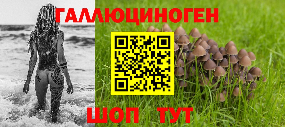 Нефтеюганск  Псилоцибиновые грибы Psilocybine cubensis  Вход с VPN  Галлюциногенные грибы Cubensis 